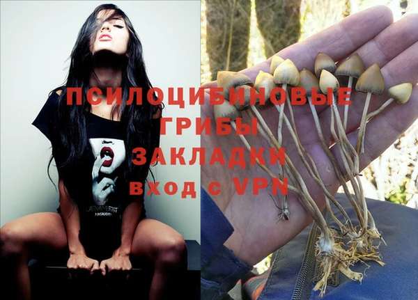 метадон Осинники