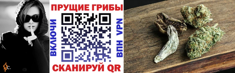 МЕГА   Арамиль  Псилоцибиновые грибы GOLDEN TEACHER 